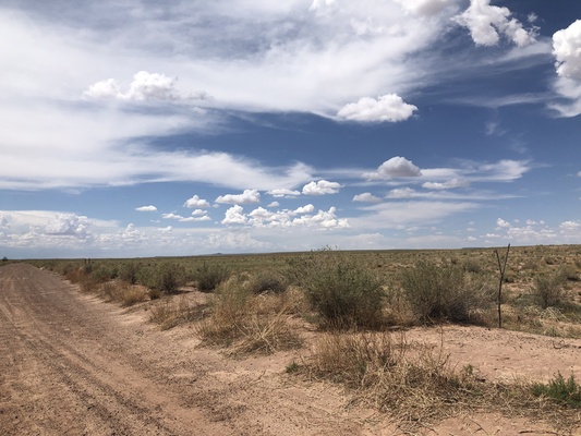 Enjoy your own gorgeous 1.25 acre getaway in Navajo AZ $99/mo