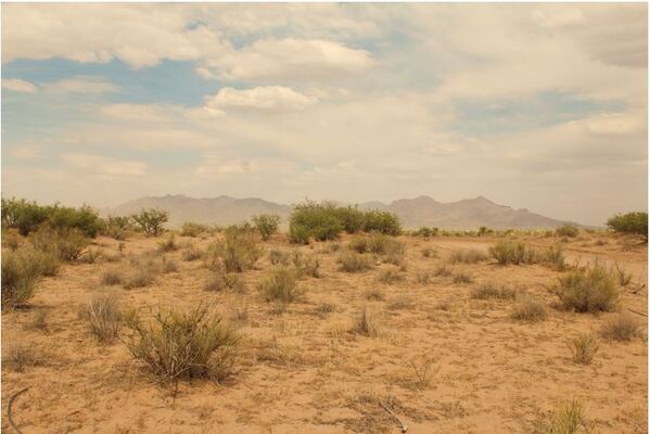 Deming, NM- 4.8 Acre for ONLY $240/Mo! *Clear-cut financing*