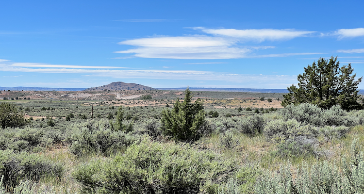 Nearly an Acre, Close to Highway and Short Drive to Alturas