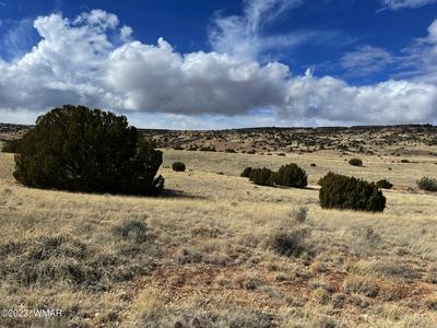 It’s Time to Make Life Great Again from 10 acres in Elko County, NV! Only $200/Mo