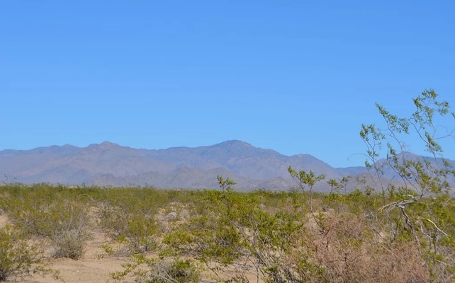 Arizona: Your Chance for Land Ownership and Investment!