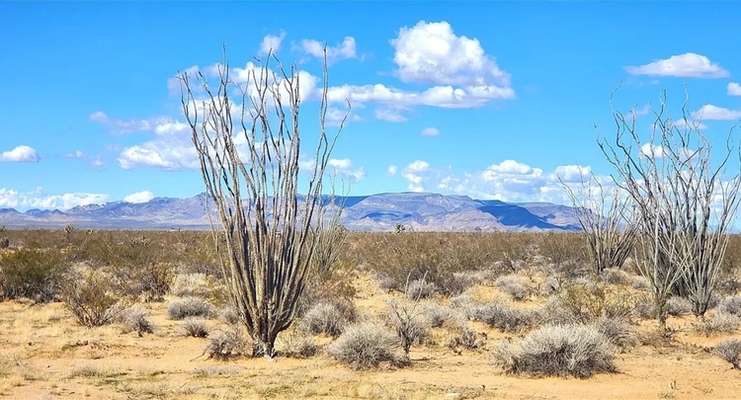 1.13 Acre Arizona Desert for $125 / month!