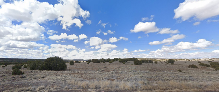 1.01-Acre Ultimate Desertscape in Concho, AZ $149/Mo