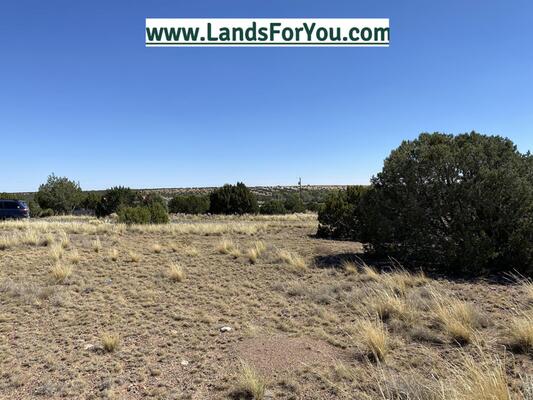 Claim 0.33-Acre: Ideal Spot for Your Dream Home Awaits!