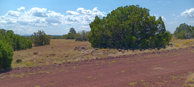 Trees & Privacy on 1.03 acre near Show low AZ  - $219/month!