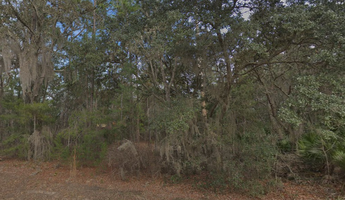 0.22 Acres in Selma Avenue, FL $199/mo