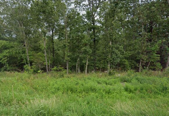 Experience Nature on 0.43 Acres in AR for Only $123/Mo!