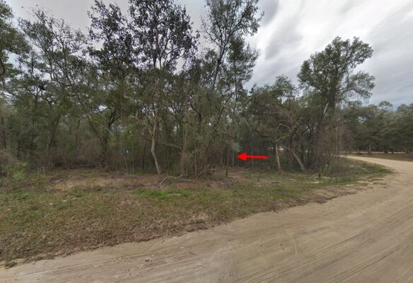 Only $259/Mo, Wooded 0.45 Acre Lot in Interlachen Florida!