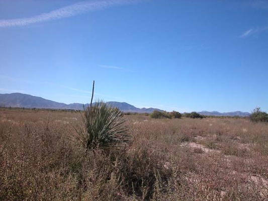 Land Close to the Dragoon Mountains. Hike and Bike. $138 Per Month