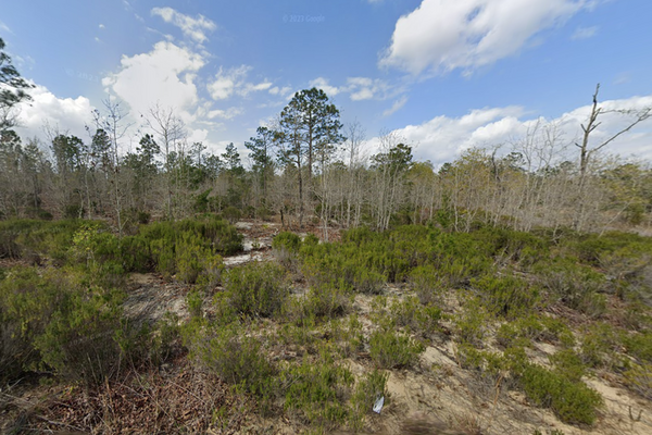 0.21 Acres in Putnam, FL: Nature’s Blank Canvas $199/mo!