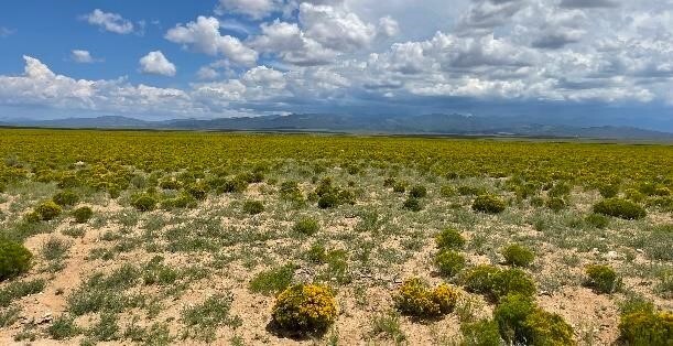 Own 5 Acres land in Fort Garland, CO Today!