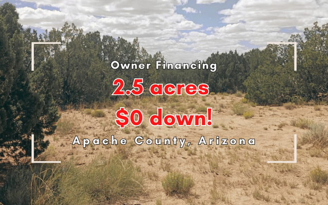 SOLD! Act Fast: Seize Your Last Shot at Land, <del>$200 </del> $0 Down!