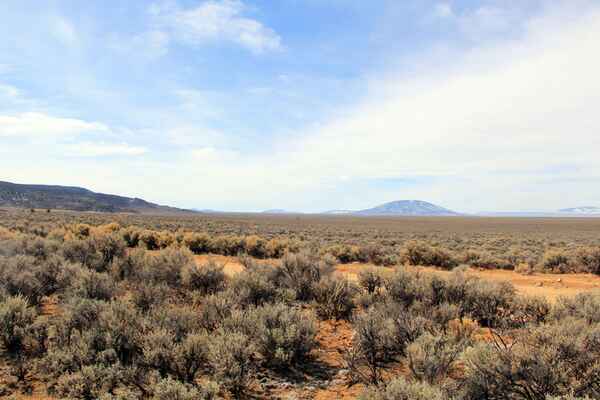 2.53 Ac for $139 Down in Costilla – Dirt Cheap, Literally!