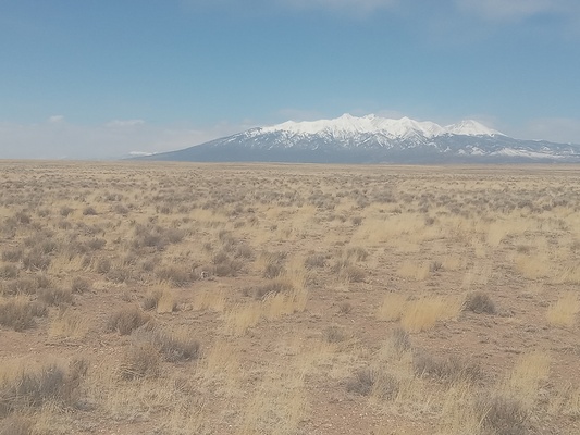 Own a Piece of Paradise! 4.91 Acres in San Luis Valley Ranches, CO - $7,100 Cash or $199/month!