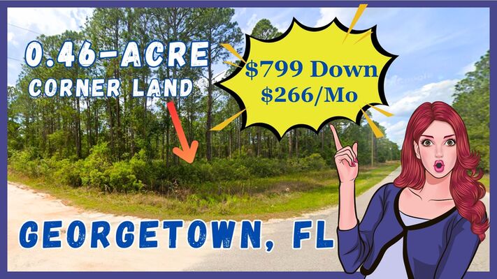 Unreal Land Deals – Why Rent When You Can OWN - CORNER LAND?