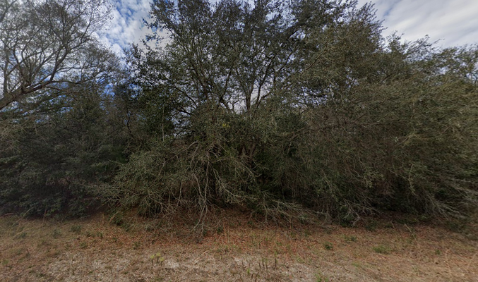 0.22 Acres in O Farrell Avenue, FL $237/mo