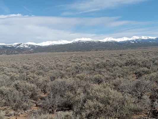 Paradise Awaits! 5 Acre Lot in Costilla Co for Only $4750!