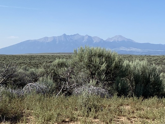 4.76-Acre Lot in CO with Minimal Restrictions Just $163/Mo!