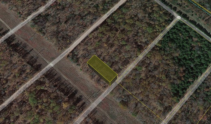 0.25 Acres Lot, Paved Road, Power – Only $55 Down!