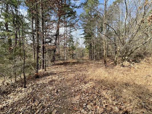 0.29 Acre Lot - Wakefield Ln. Bella Vista, AR