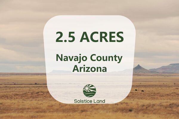 Fantastic Opportunity To Purchase Land in Navajo County