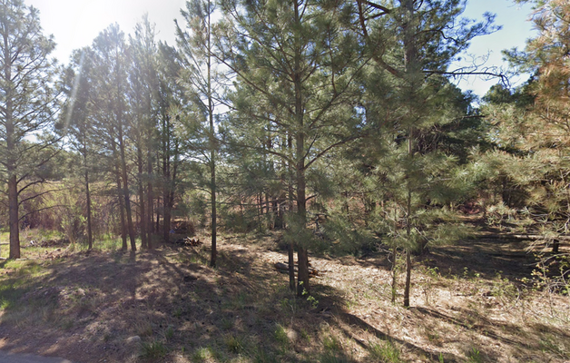 Ideal Location to Build Your Home on 0.5-Acres $149/Mo!