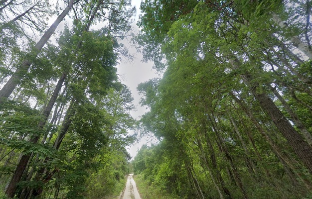 Zero Interest, Zero Stress: Own Florida Land Just $199 Down!