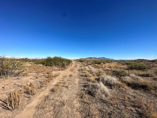 Enjoy Peace of Mind and Freedom on this 2.9 Acres- $165 Down