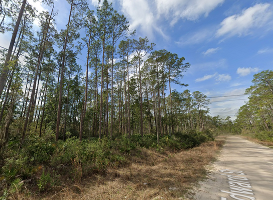 Beautiful Investment in Putnam County, FL for only $180/Mo!