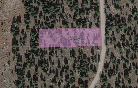 Escape to Nature: Own 1.24 Acres of Paradise in Modoc, CA for Low Down Payment!