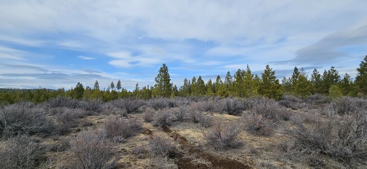 1.9-acres of Prime Wilderness Available Now!