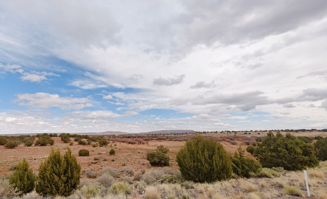 0.41 Acre in Concho, Arizona (only $200 a month)