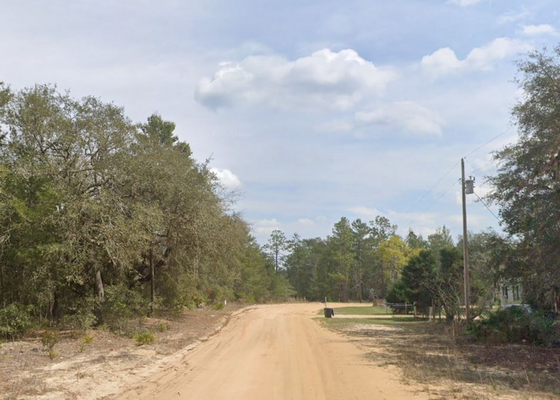 0.24 Acres In Interlachen FL, Only $175/mo