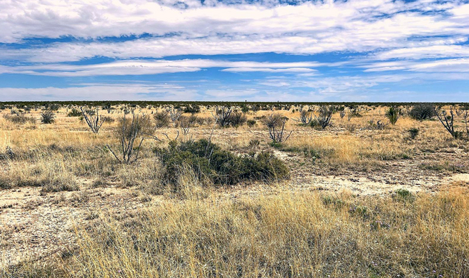 20 Acres of Unrestricted Land in Texas - DREAM BIG!