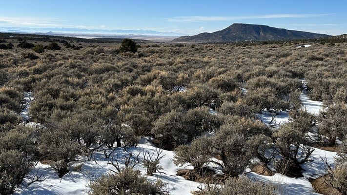 Turn 5.5 Acres into Your Desert Dream in Costilla, CO