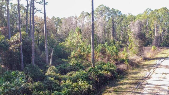 Affordable Land 0.23-Acre Near Two Lakes for $189/Month