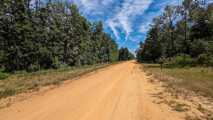 0.22-Acre of Peace Near Lake Grandin for $220/Month