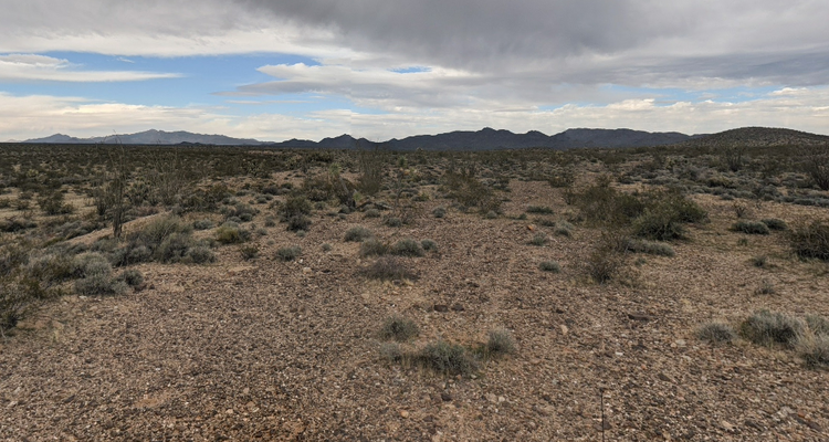 1.25 Acres in Mohave AZ with Starry Nights for $120/Mo!