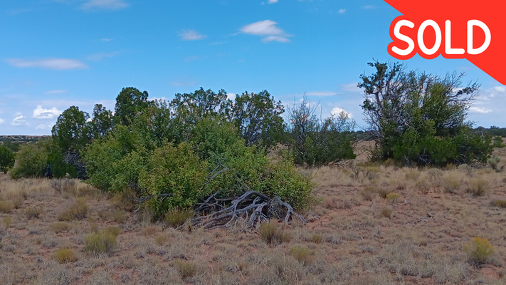 BLACK FRIDAY EXTENDED! $10 Down 1.24 acres near St Johns AZ