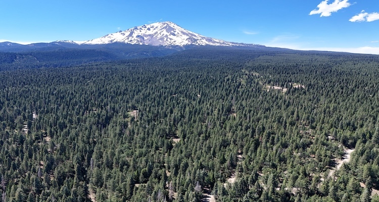 Quiet Lot near Mt. Shasta