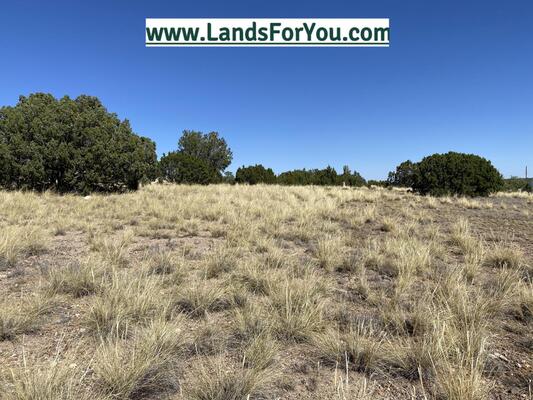 Ready for Your Dream Build? 0.33-Acre in Arizona!