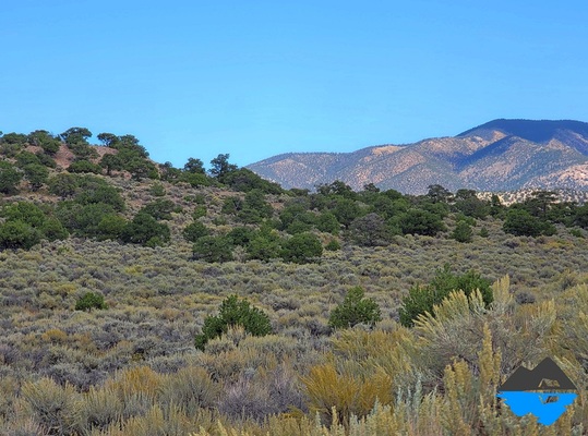 Privacy, Trees, and Freedom—5.3 Acres in CO!