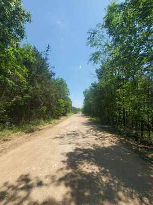 Own 0.30 Acres in Boone, AR for only $100 Down