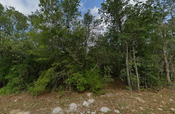 Brighter Days on 0.22 Acres in Citrus, FL! $273.84/Mo