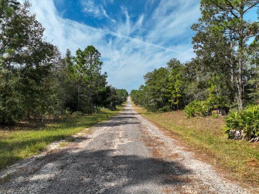 Invest in Dunnellon 0.23-Acre for $298/Month