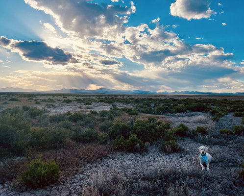 Secure Your 2.27 acres Land Now at Beryl, Utah! 179/mo