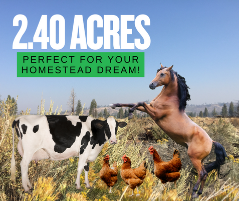 Own 2.40 Acres & Build Your Homestead in Oregon!