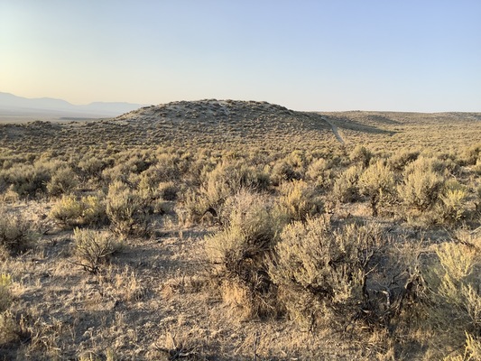 1.03 Acres, Near Ryndon, NV.  Only $100/Month!