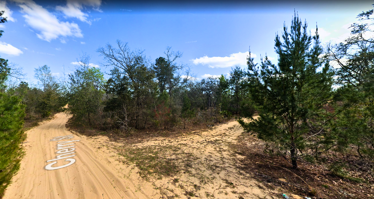 Escape the Bustle of the City Life- 0.11 acre in Putnam, FL!