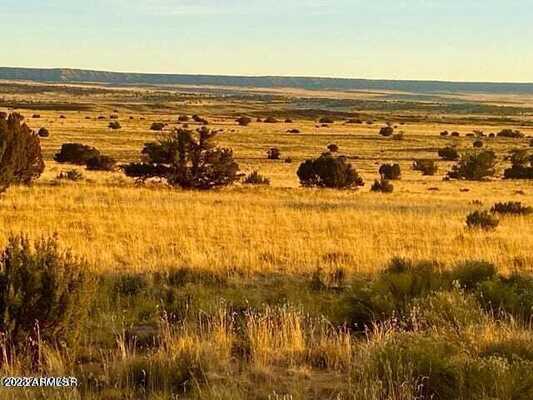 255 ACRES IN NORTHERN ARIZONA, JUST OFF HWY 191